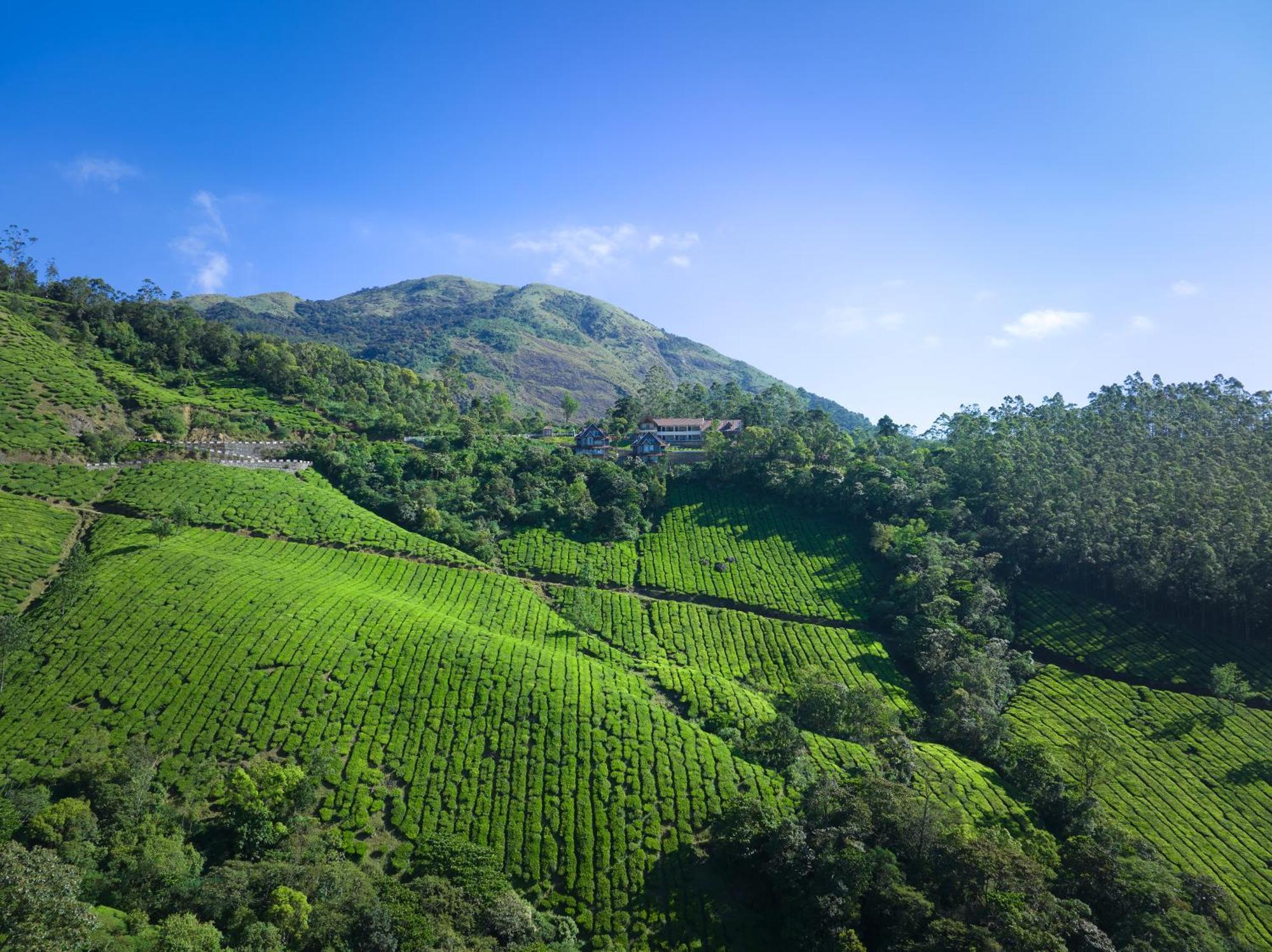 The Planet Munnar Hotel Suryanelli Luaran gambar